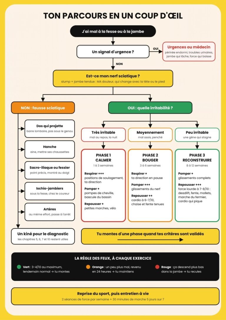 Page 18 de l'ebook Sortir de la sciatique : ton parcours en un coup d'œil, du test pour savoir si c'est ton nerf jusqu'aux trois phases du programme et à la règle des feux